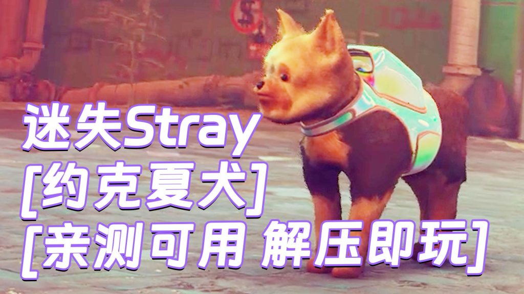 迷失Stray MOD整合版 [主角变成 约克夏犬] 简体中文 免安装 绿色版 [亲测可用 解压即玩]【6.22GB】-Mods8游戏网