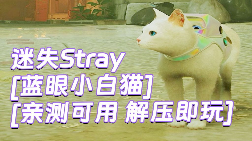 迷失Stray MOD整合版 [主角变成 蓝眼小白猫] 简体中文 免安装 绿色版 [亲测可用 解压即玩]【6.22GB】-Mods8游戏网