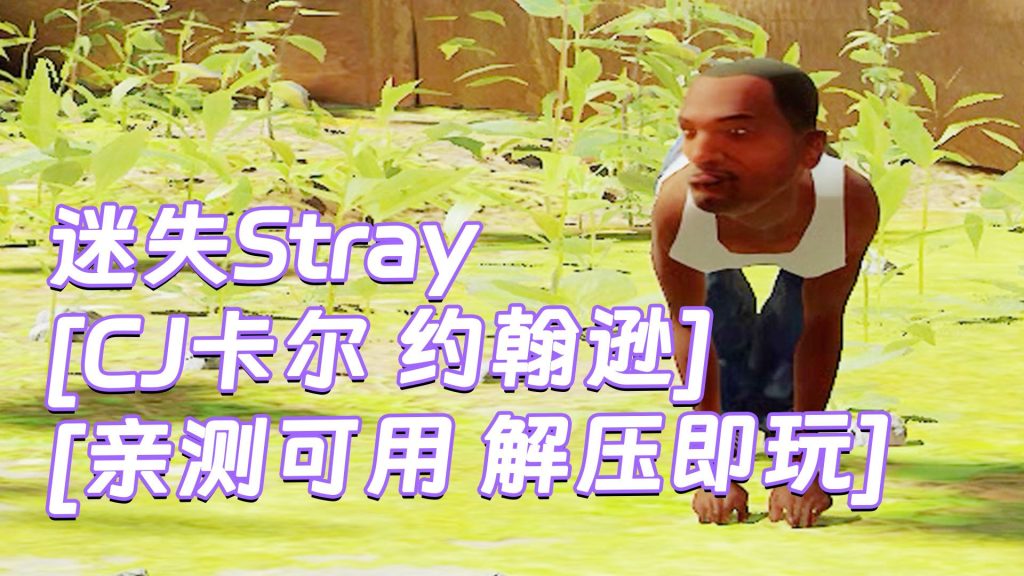 迷失Stray MOD整合版 [主角变成 卡尔 约翰逊 CJ] 简体中文 免安装 绿色版 [亲测可用 解压即玩]【6.23GB】-Mods8游戏网