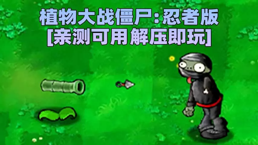 植物大战僵尸：忍者版 简体中文 免安装 绿色版 [亲测可用 解压即玩]【70.5MB】-Mods8游戏网